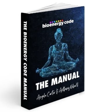 BioEnergy Code Manual
